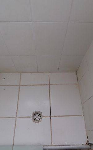 Apartamento para alugar com 47m², 2 quartos e 1 vagaBanheiro 