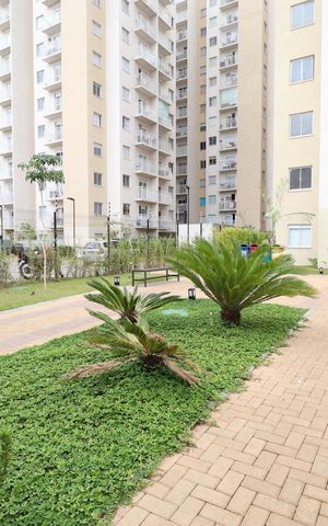 Apartamento à venda com 35m², 2 quartos e sem vagaÁrea comum 