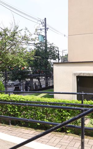 Apartamento para alugar com 45m², 2 quartos e 1 vagaÁrea Comum