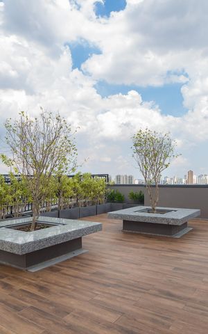 Studio para alugar com 30m², 1 quarto e sem vagaLounge