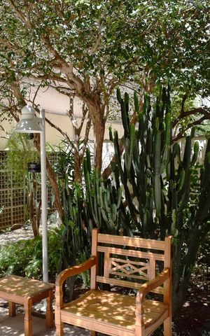 Apartamento para alugar com 45m², 1 quarto e 1 vagaJardim
