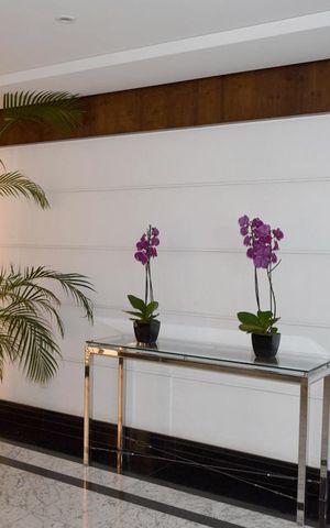 Apartamento para alugar com 45m², 1 quarto e 1 vagaHall social