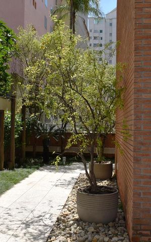 Apartamento para alugar com 45m², 1 quarto e 1 vagaJardim