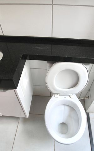 Apartamento para alugar com 43m², 2 quartos e 1 vaga Apartamento para alugar com 43m², 2 quartos e 1 vagaBanheiro Social