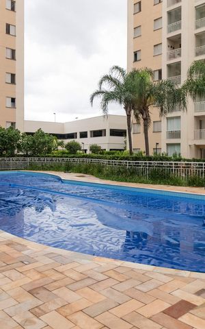 Apartamento para alugar com 63m², 2 quartos e 1 vaga Apartamento para alugar com 63m², 2 quartos e 1 vagaÁrea comum - Piscina