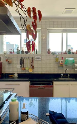 Apartamento para alugar com 238m², 4 quartos e 1 vagaCozinha