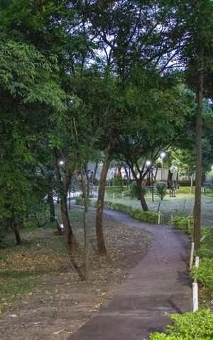 Apartamento para alugar com 58m², 2 quartos e 1 vagaJardim