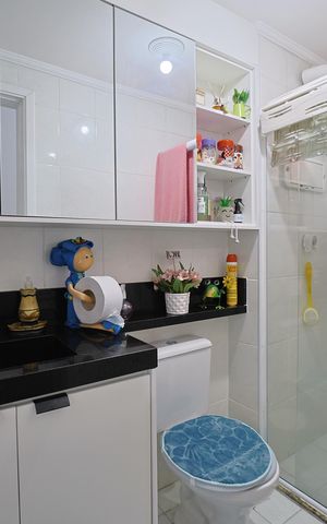 Apartamento à venda com 49m², 2 quartos e 1 vagaBanheiro
