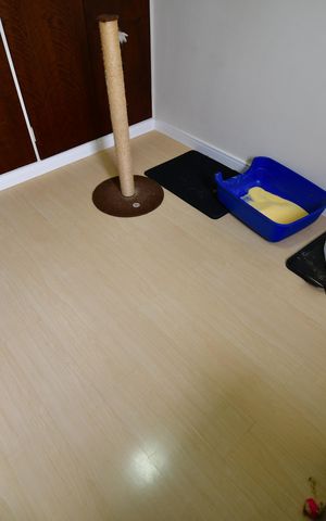 Apartamento à venda com 95m², 3 quartos e 1 vagaQuarto 1