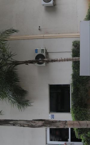 Apartamento para alugar com 36m², 2 quartos e 1 vaga Apartamento para alugar com 36m², 2 quartos e 1 vagaVista da frente do prédio