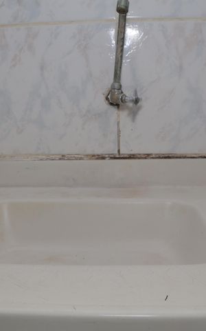 Apartamento à venda com 65m², 3 quartos e 1 vaga