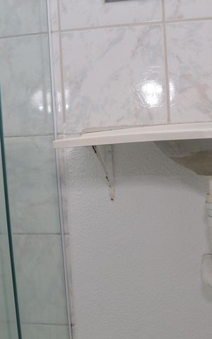 Apartamento à venda com 65m², 3 quartos e 1 vaga