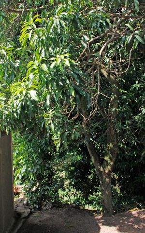 Casa de condomínio para alugar com 280m², 3 quartos e 4 vagasQuarto 1 Vista