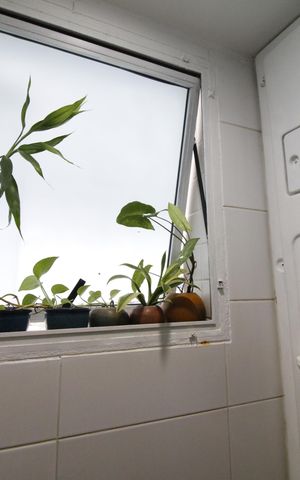 Apartamento à venda com 96m², 3 quartos e 1 vagaBanheiro da Suíte 2