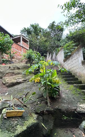 Casa à venda com 323m², 3 quartos e 3 vagasQuintal