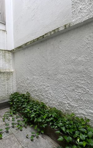 Casa de condomínio à venda com 300m², 5 quartos e 2 vagas Casa de condomínio à venda com 300m², 5 quartos e 2 vagasVaranda quarto