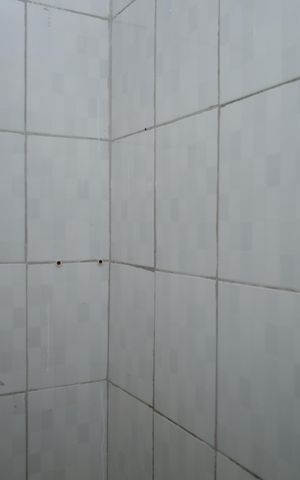Casa para alugar com 28m², 1 quarto e sem vagaBanheiro