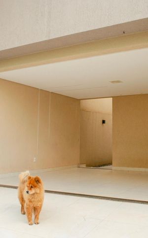 Casa à venda com 180m², 3 quartos e 3 vagas Casa à venda com 180m², 3 quartos e 3 vagasGaragem