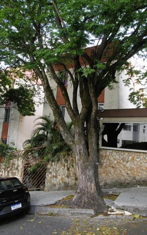 Apartamento para alugar com 80m², 2 quartos e 1 vagaFachada