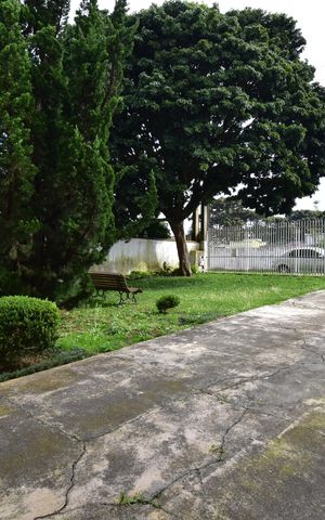 Casa para alugar com 280m², 6 quartos e 4 vagasQuintal