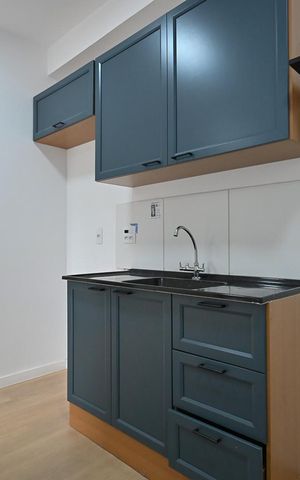Apartamento para alugar com 40m², 2 quartos e sem vagaCozinha