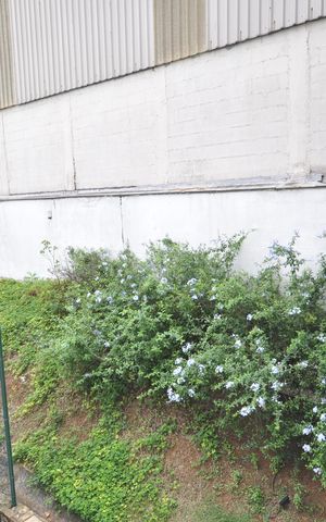 Apartamento para alugar com 92m², 3 quartos e 2 vagasVista do Quarto Suíte