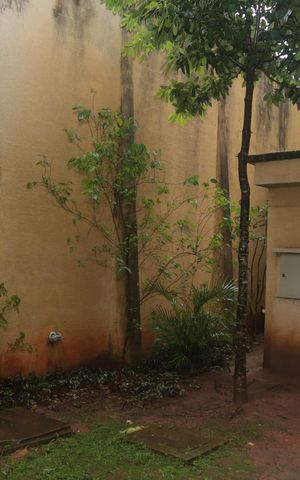 Apartamento para alugar com 51m², 2 quartos e 1 vaga Apartamento para alugar com 51m², 2 quartos e 1 vagaVista da sacada da sala