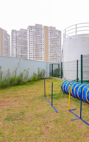 Apartamento para alugar com 35m², 2 quartos e sem vagaÁrea comum - Espaço Pet