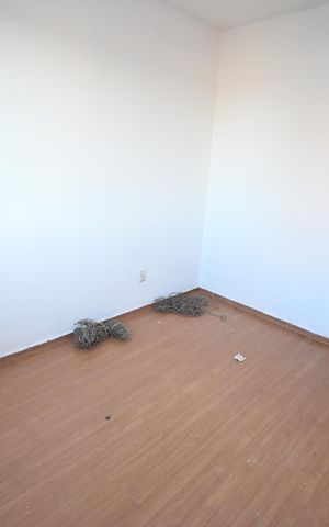 Apartamento para alugar com 55m², 2 quartos e 1 vaga