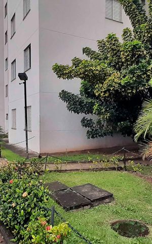 Apartamento para alugar com 50m², 2 quartos e 1 vaga Apartamento para alugar com 50m², 2 quartos e 1 vagaÁrea Verde