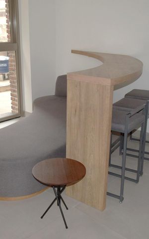 Studio para alugar com 26m², 1 quarto e sem vagaLavanderia