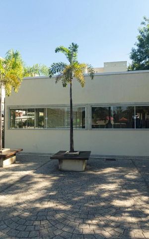 Apartamento para alugar com 43m², 2 quartos e 1 vaga Apartamento para alugar com 43m², 2 quartos e 1 vagaÁrea comum - Salão de festas