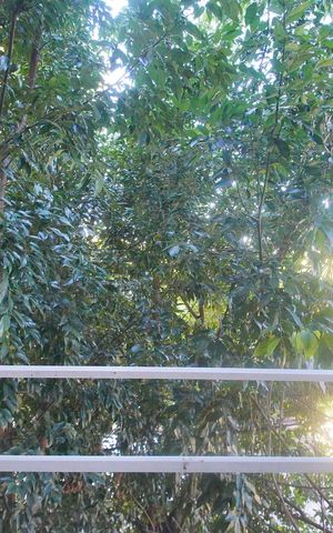 Apartamento para alugar com 95m², 2 quartos e 1 vagavista do quarto 2