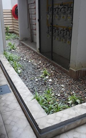 Apartamento para alugar com 45m², 2 quartos e sem vagaÁrea externa