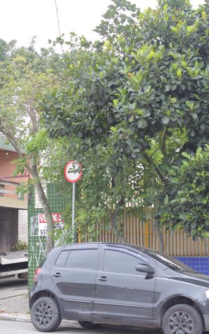 Casa à venda com 280m², 2 quartos e 6 vagas