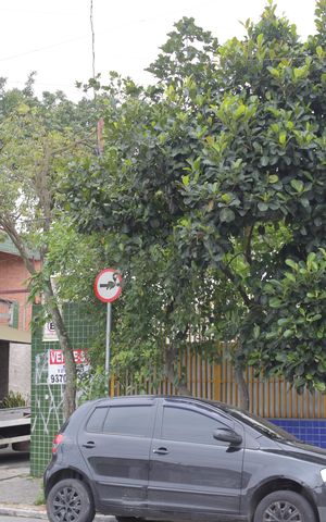 Casa à venda com 280m², 2 quartos e 6 vagas