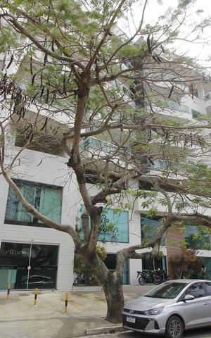 Apartamento para alugar com 40m², 1 quarto e 1 vagaFachada