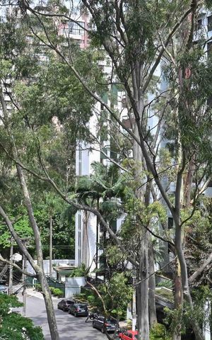 Apartamento à venda com 290m², 4 quartos e 3 vagasVista do Quarto 2