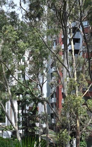Apartamento à venda com 290m², 4 quartos e 3 vagasVista do Quarto 1