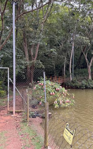 Casa de condomínio para alugar com 125m², 4 quartos e 2 vagas Casa de condomínio para alugar com 125m², 4 quartos e 2 vagasLago