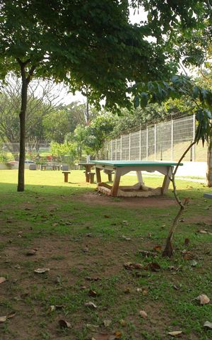Apartamento para alugar com 50m², 2 quartos e 1 vagaÁrea comum - Área verde 