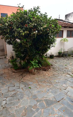 Casa à venda com 365m², 3 quartos e 2 vagasQuintal