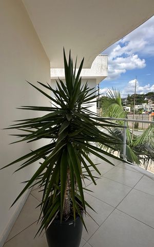 Casa de condomínio à venda com 364m², 3 quartos e 6 vagas Casa de condomínio à venda com 364m², 3 quartos e 6 vagasVaranda