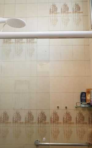 Casa para alugar com 250m², 3 quartos e 2 vagasBanheiro da Suíte