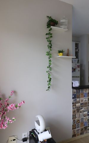Apartamento para alugar com 42m², 2 quartos e 1 vagaSala
