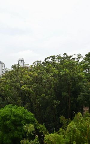 Apartamento para alugar com 68m², 2 quartos e 2 vagasVista