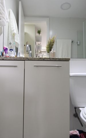 Apartamento para alugar com 60m², 2 quartos e 1 vagaBanheiro da suíte 