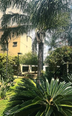 Apartamento para alugar com 73m², 2 quartos e 2 vagas