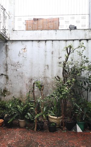 Casa à venda com 202m², 4 quartos e 1 vaga Casa à venda com 202m², 4 quartos e 1 vagaVista casa 2