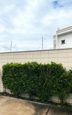 Casa para alugar com 40m², 1 quarto e sem vaga